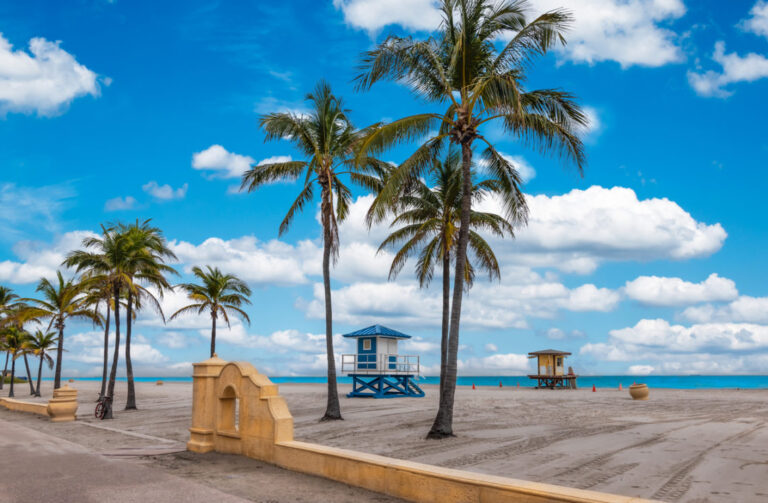 Hollywood Beach with tropical coconut palm trees and boardwalk in Florida